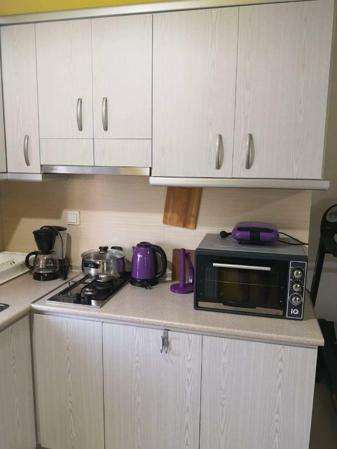 Menta Apartment Nea Iraklitsa エクステリア 写真